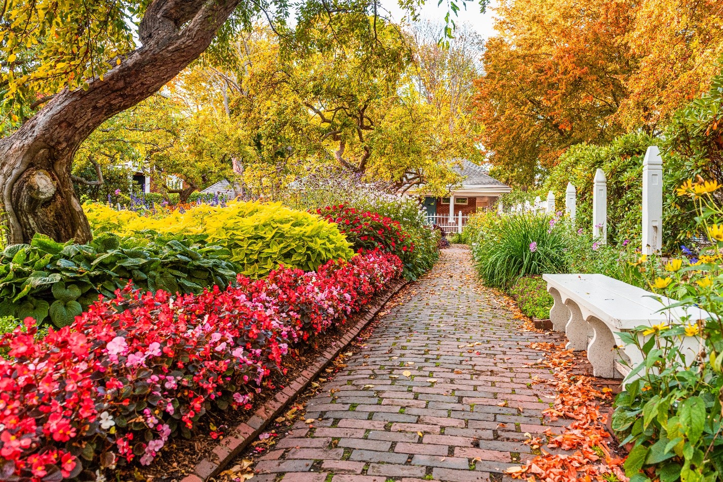 HOA Maintenance: Fall Tasks Every Board Should Prioritize